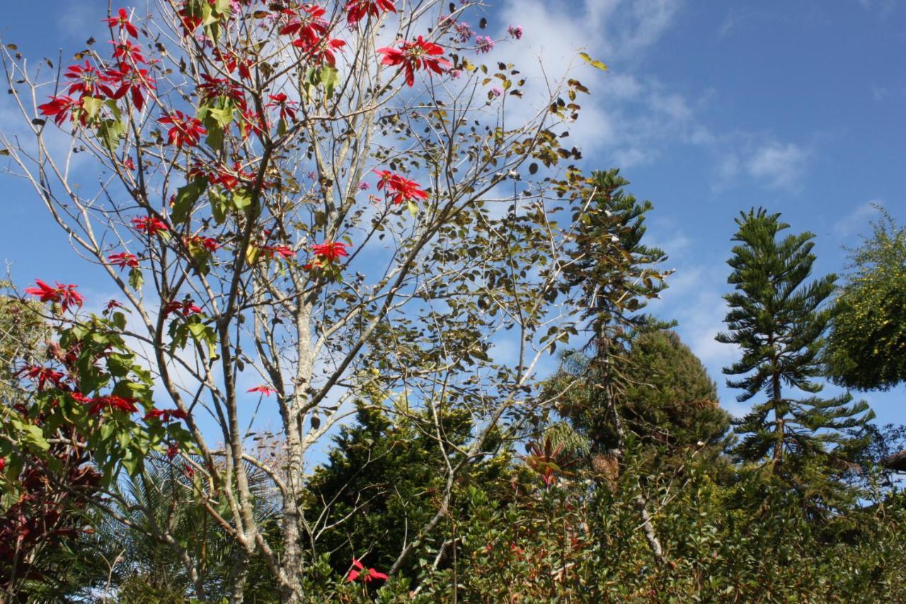 Pousada Campestre Sitio Da Lua Camanducaia Εξωτερικό φωτογραφία