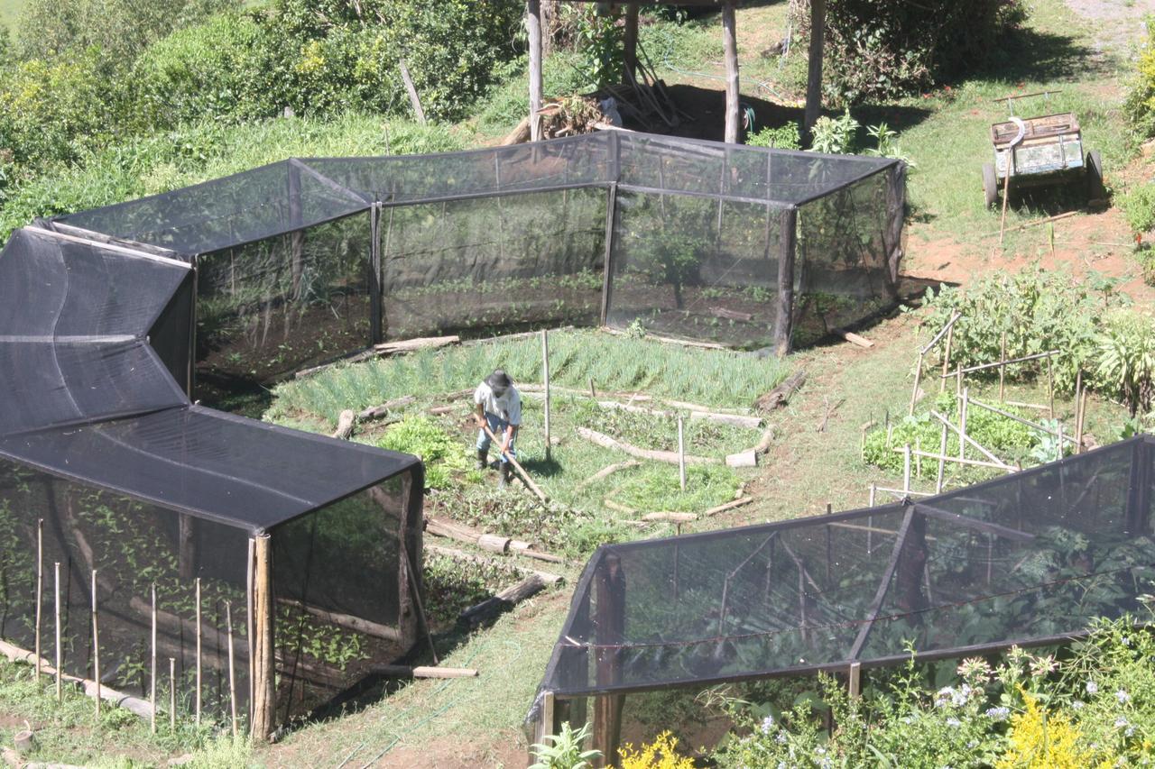 Pousada Campestre Sitio Da Lua Camanducaia Εξωτερικό φωτογραφία
